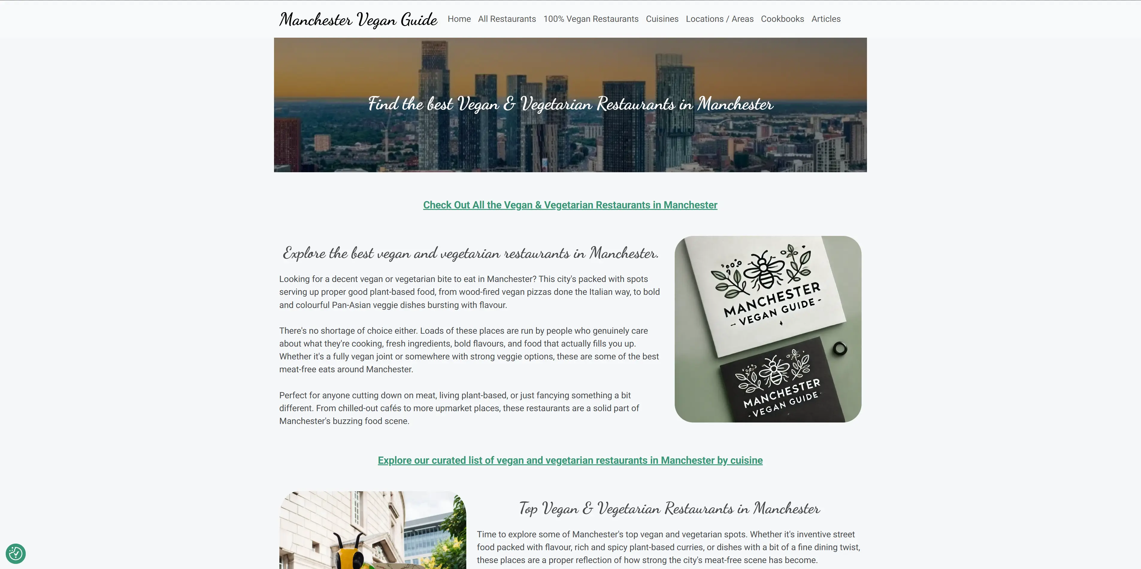 Client website project